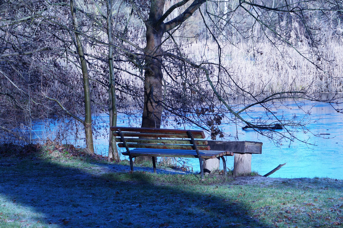 Bank_am_See_DSC01830 Bank am See