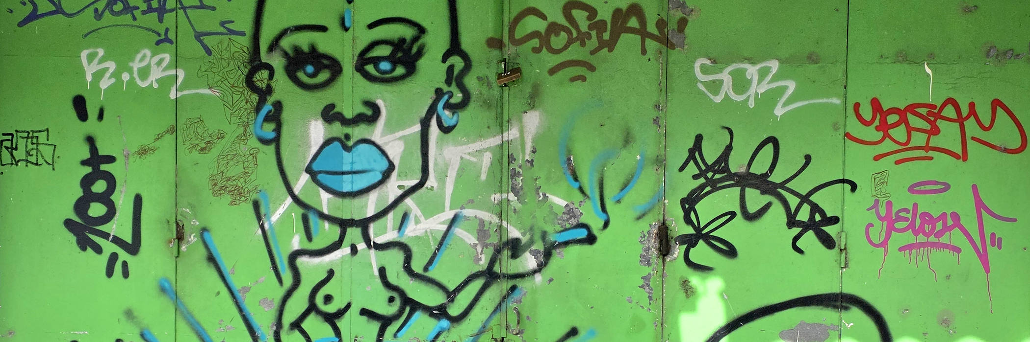 Das überraschende Testament des Herrn Meyer